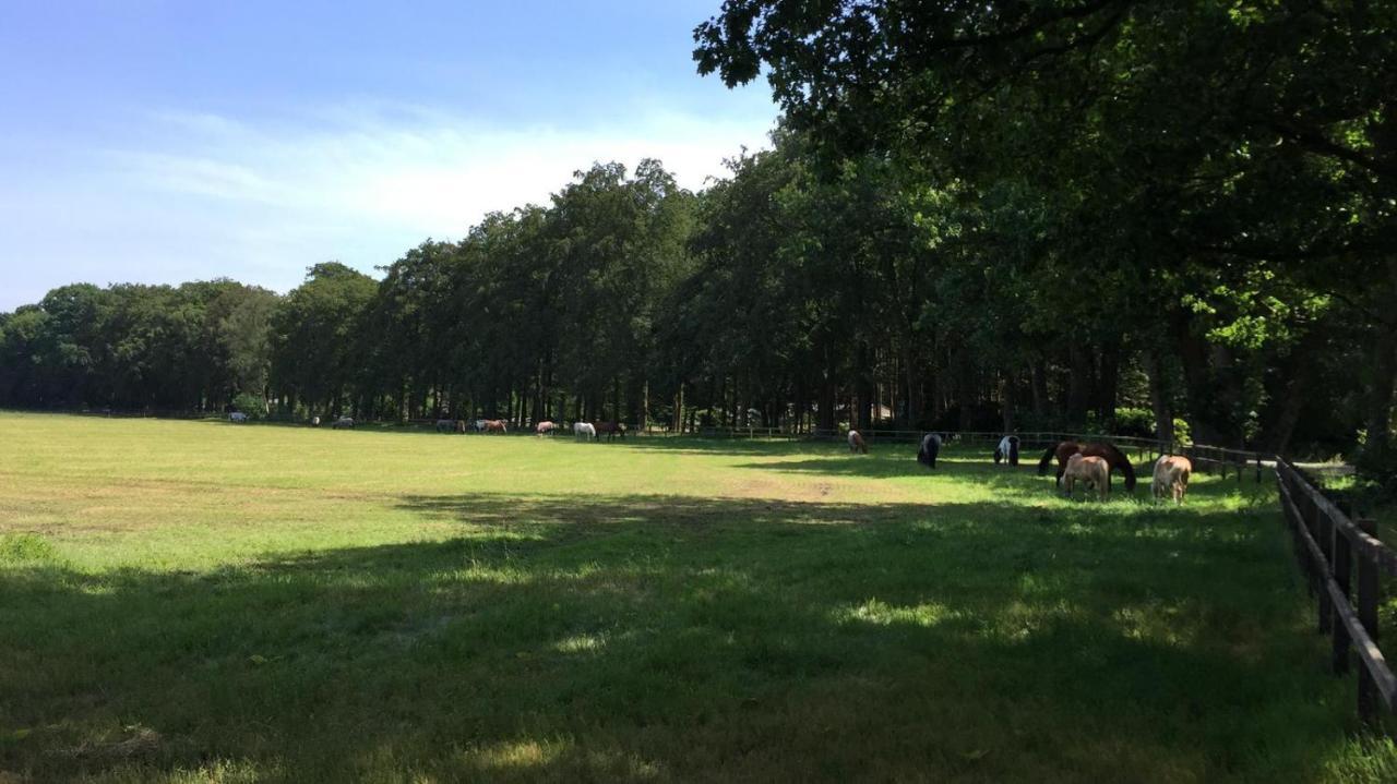 Boerderij De Enkhoeve Laag-Soeren Exteriér fotografie