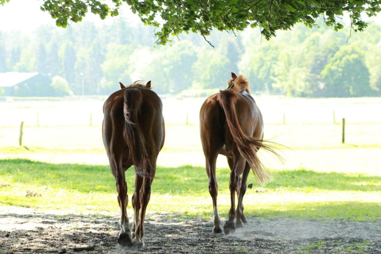 Boerderij De Enkhoeve Laag-Soeren Exteriér fotografie