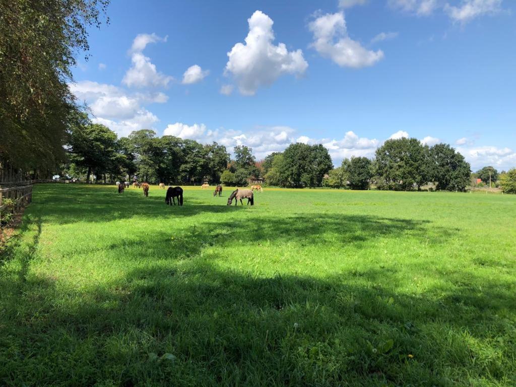 Boerderij De Enkhoeve Laag-Soeren Exteriér fotografie